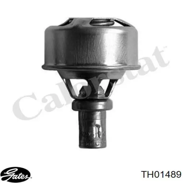 TE0113 Magneti Marelli Авто термостат