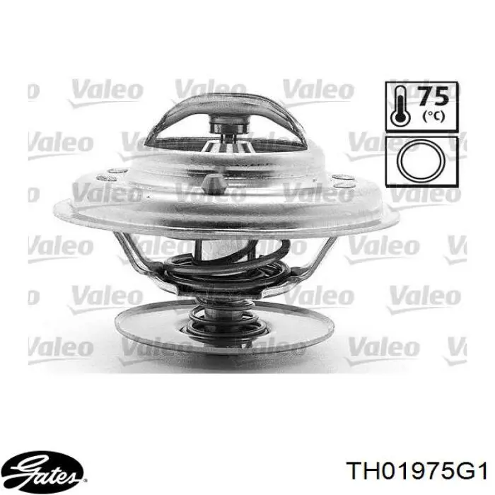 Термостат в корпусе Thermotec D2PE004TT цена, от 11.19 USD