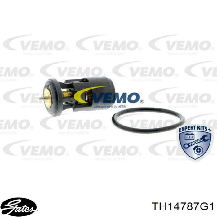 Термостат TH14787G1 Gates