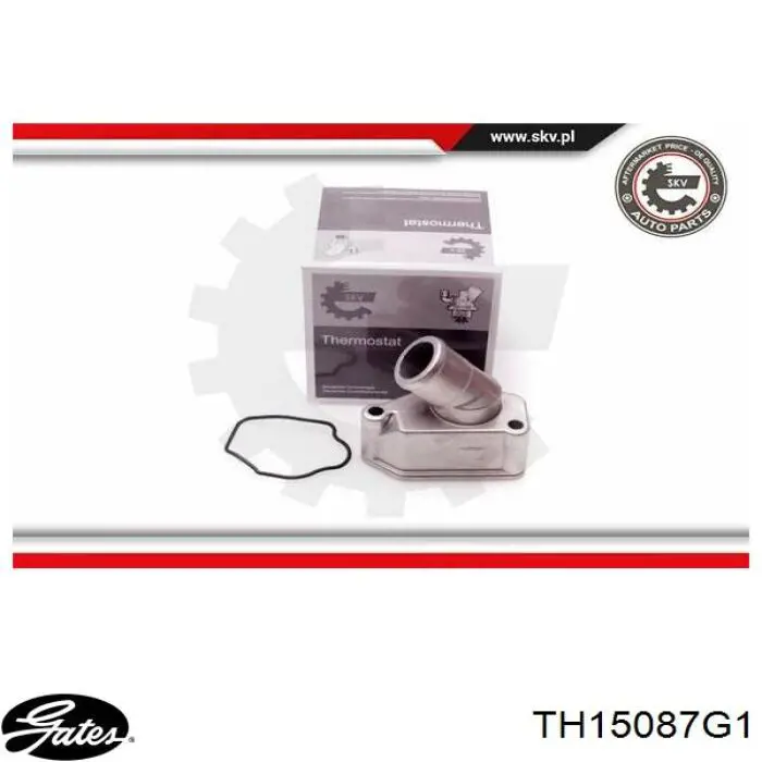 TH15087G1 Gates