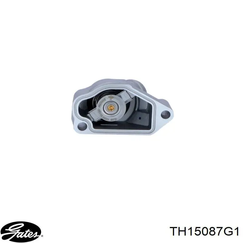 TH15087G1 Gates