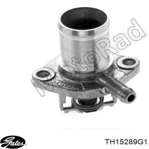 Купить 7700868980 Renault (RVI) Автомобильный термостат