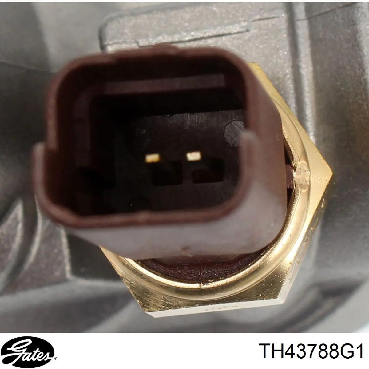 Купить D2F005TT Thermotec Корпус термостата