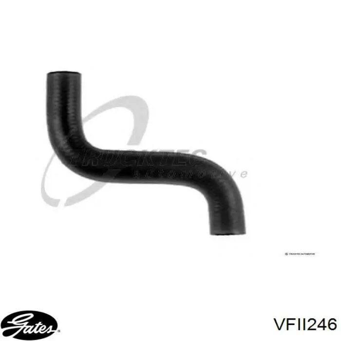 Шланг радиатора охлаждения Mitsubishi Space Wagon III минивэн (N8, N9) (1998 - 2004) цена, от 18.54 USD