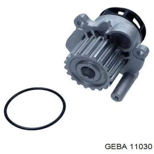 Помпа 11030 Geba