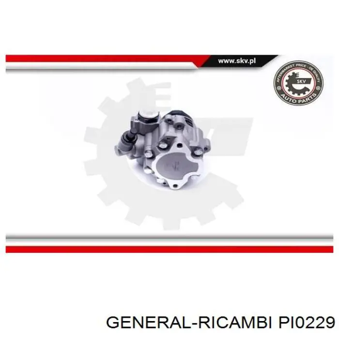Насос ГУР PI0229 General Ricambi