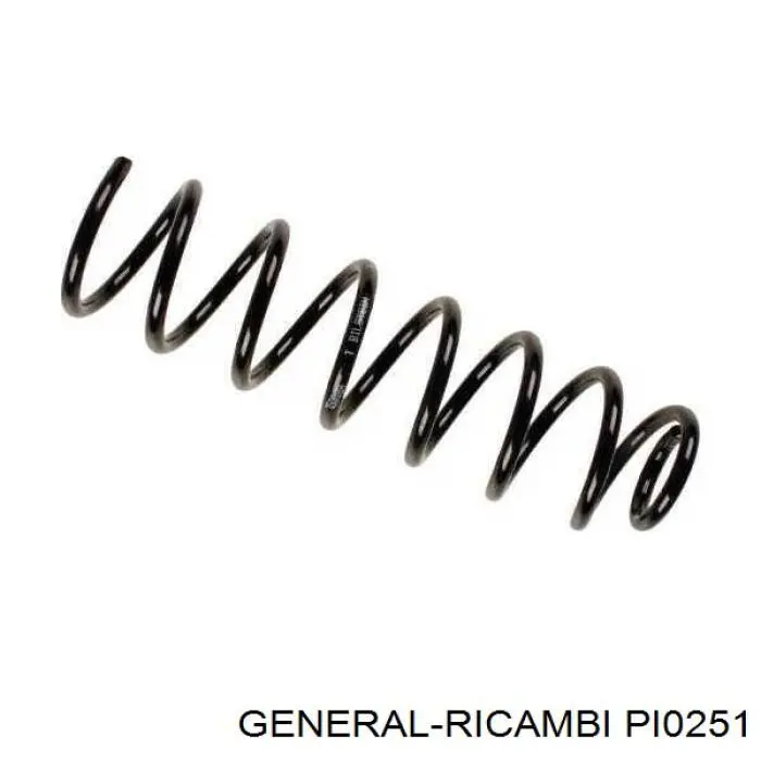 Насос ГУР PI0251 General Ricambi