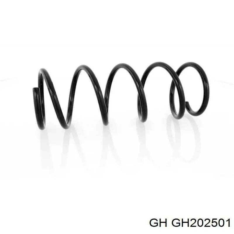 GH202501 GH