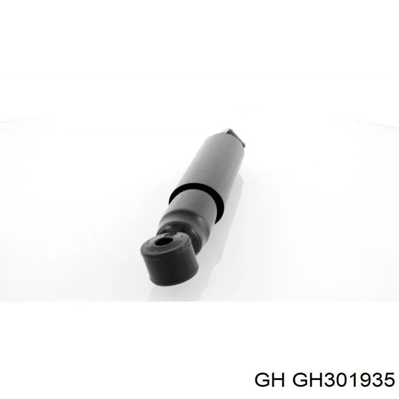 GH301935 GH