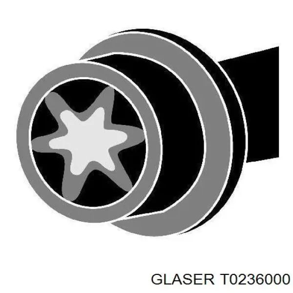 Болт головки блока цилиндров (ГБЦ) Glaser T0236000