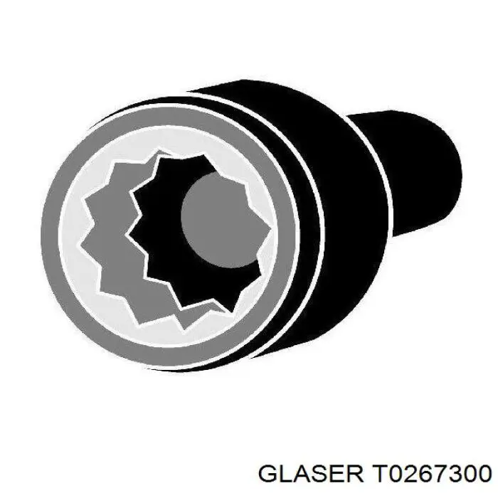 Болт головки блока цилиндров (ГБЦ) Glaser T0267300