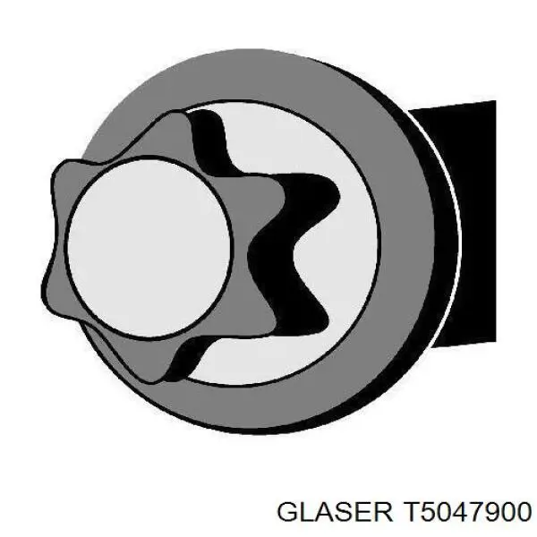 Болт головки блока цилиндров (ГБЦ) Glaser T5047900