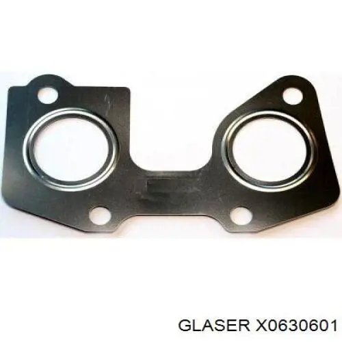 X06306-01 Glaser прокладка коллектора