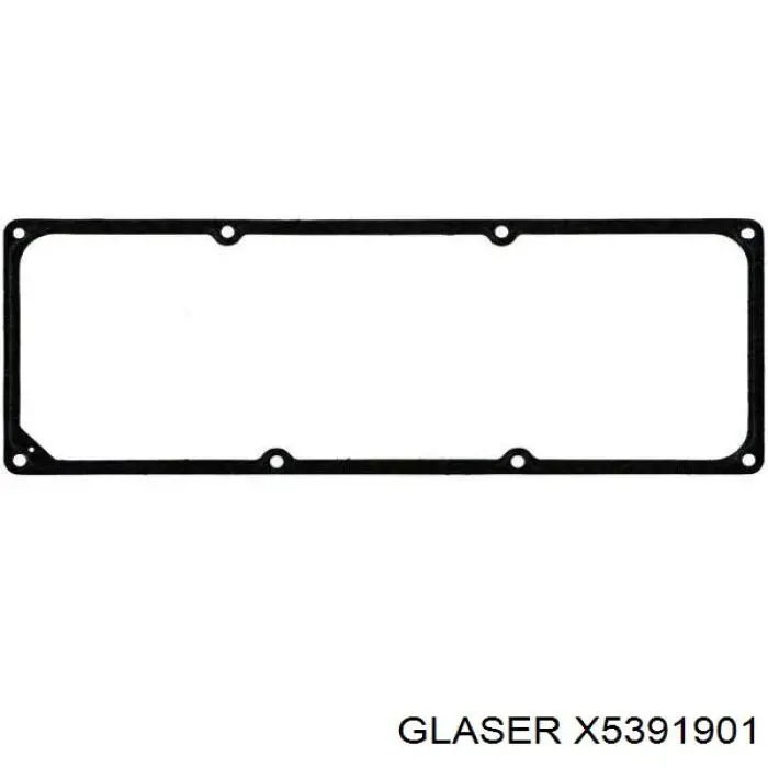 X5391901 Glaser прокладка клапанной крышки