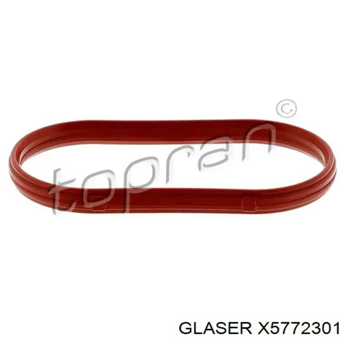 X5772301 Glaser