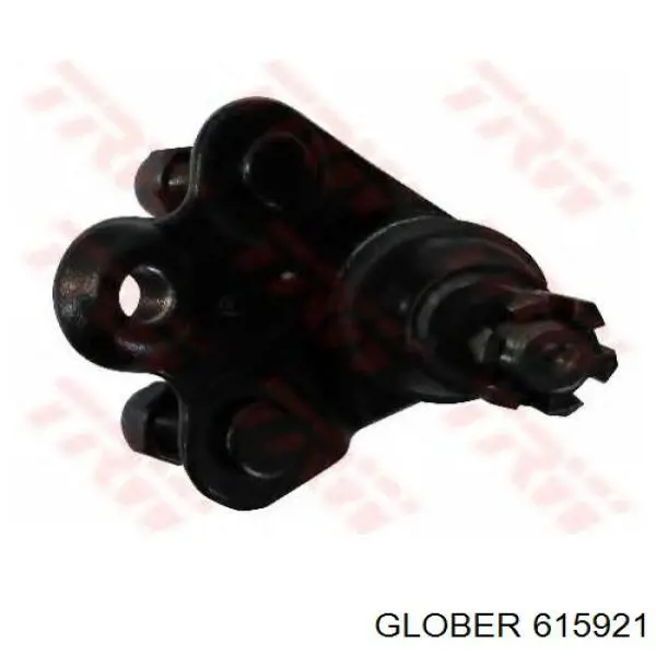615921 Glober