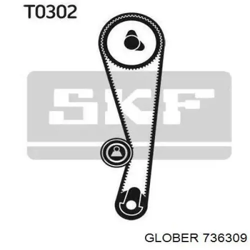Ролик натяжителя Glober 736309