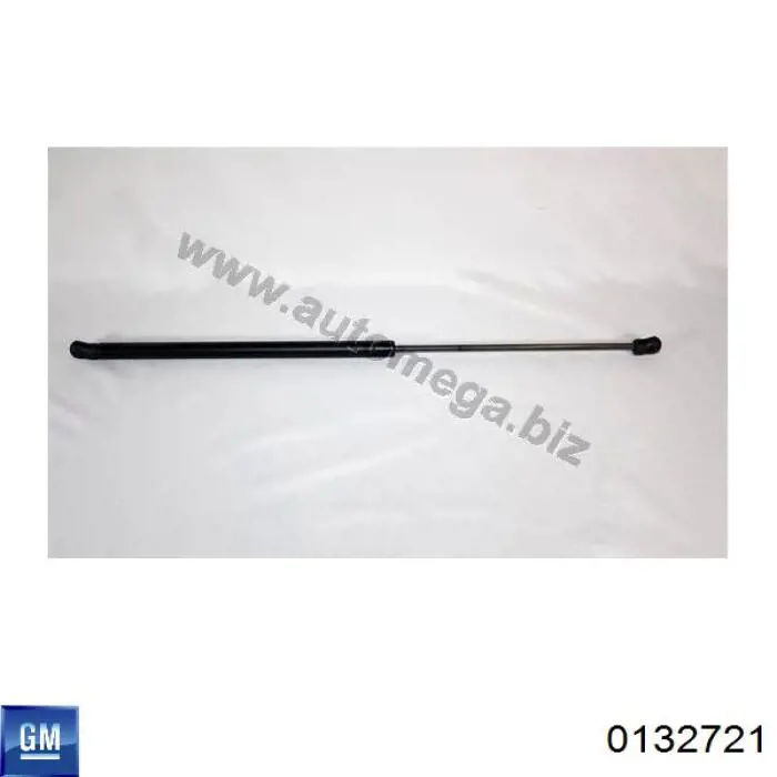 Амортизатор багажника GS0076 Magneti Marelli