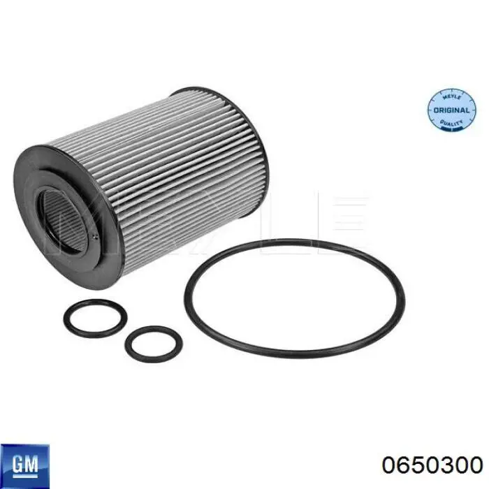 0650300 General Motors Масляный фильтр двигателя