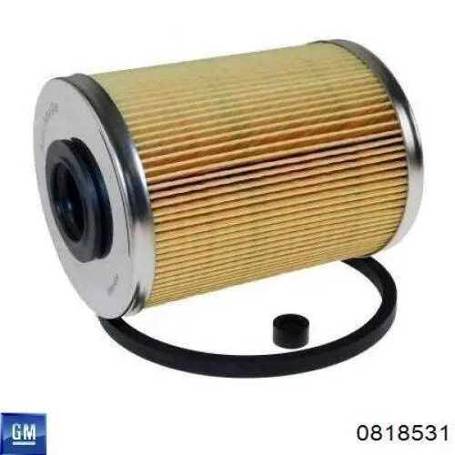 Фильтр тонкой очистки топлива General Motors 0818531 цена, от 6.62 USD