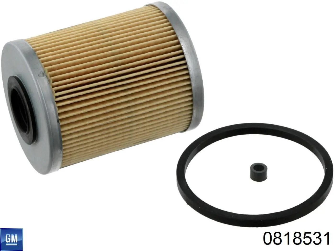 0818531 General Motors Фильтр топлива