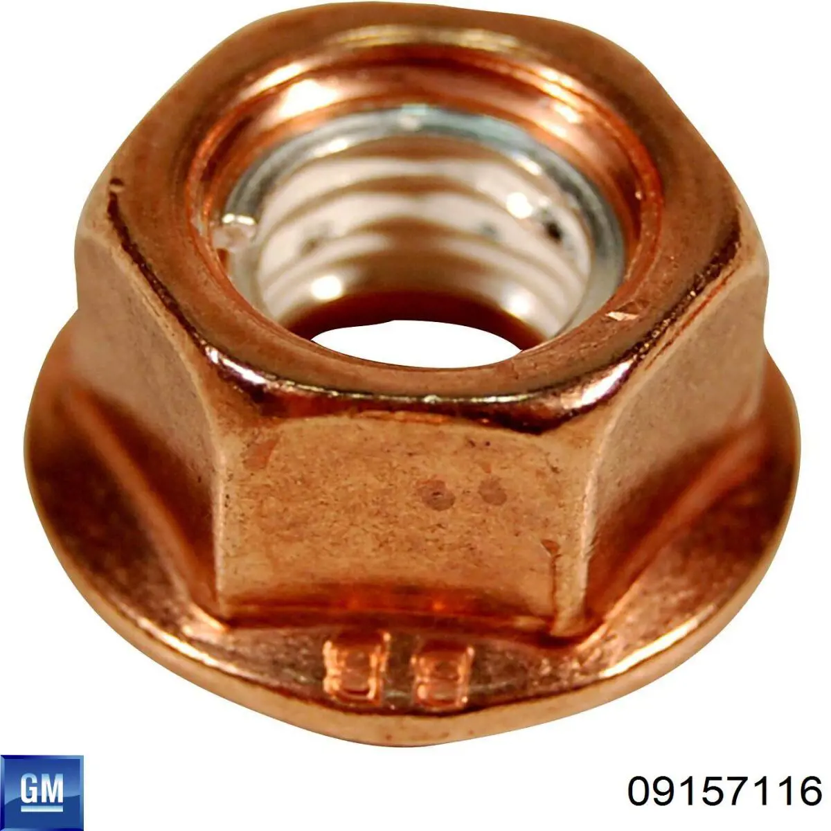 Гайка ступицы задней General Motors 09157116 цена, от 4.14 USD