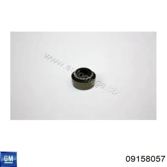 09158057 General Motors сальник клапана (маслосъемный, впуск/выпуск)