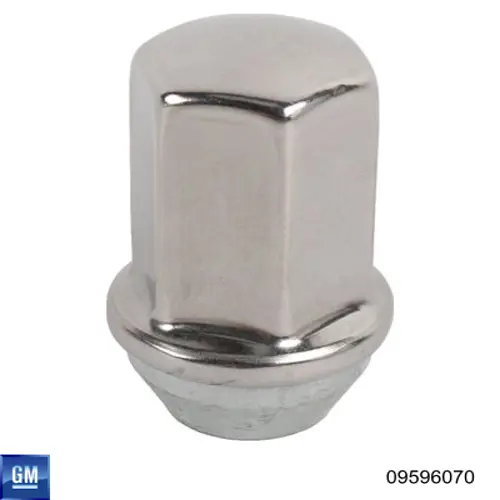 Купить 09596070 General Motors Гайки колесные