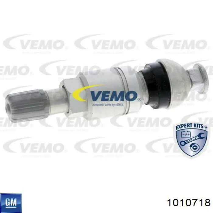 1010718 General Motors sensor de pressão de ar nos pneus