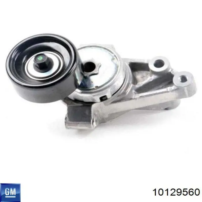 Купить 10129560 General Motors Паразитный ролик