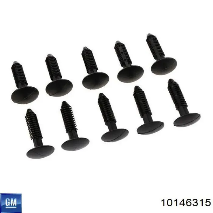 10146315 General Motors 