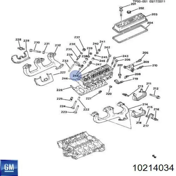 10214034 General Motors сальник клапана (маслосъемный, впуск/выпуск, комплект на мотор)