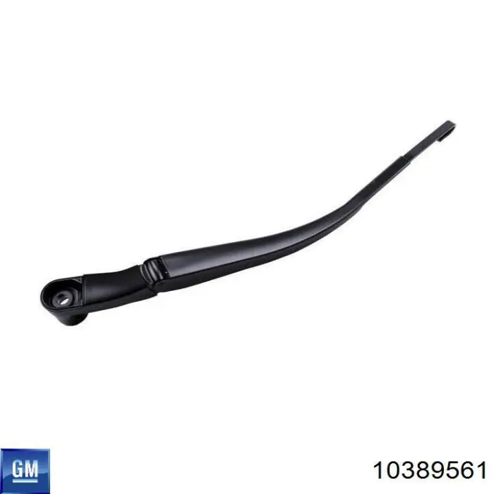 10389561 General Motors 