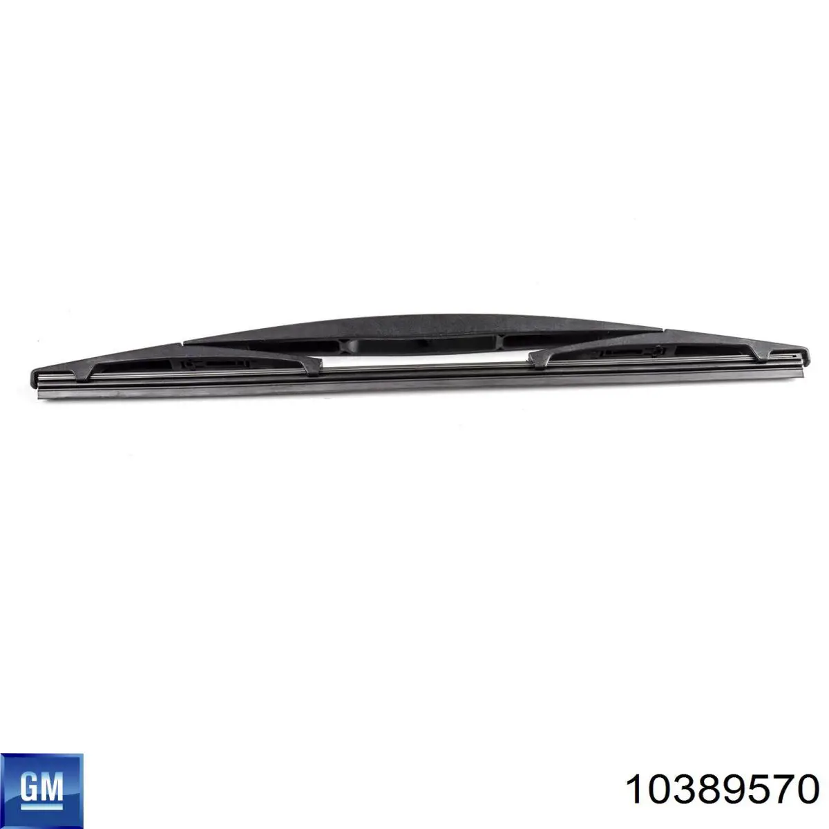 10389570 General Motors 