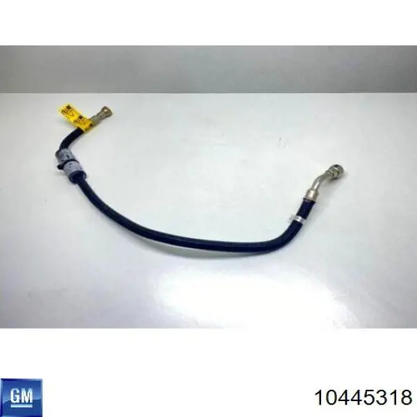 10445318 General Motors 
