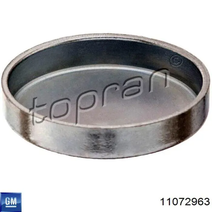 Заглушка ГБЦ 203187 Hans Pries (Topran)