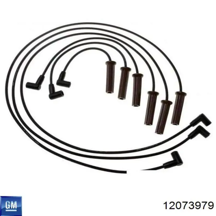 12073979 General Motors высоковольтные провода