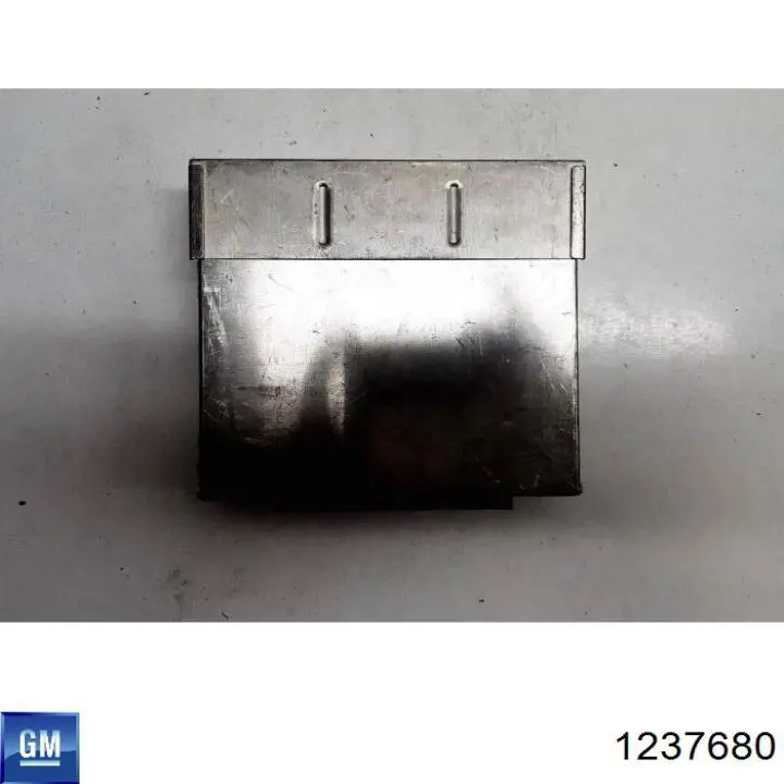 1237680 General Motors 