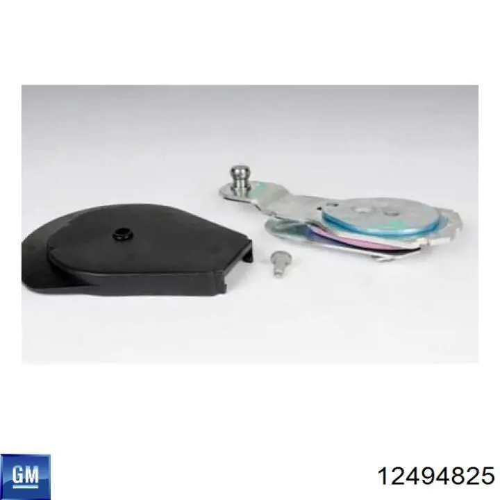 12494825 General Motors 