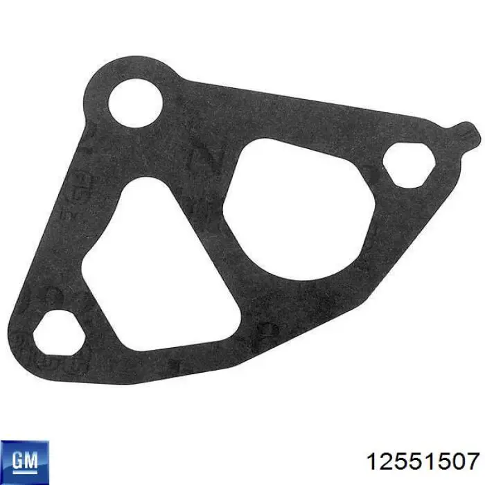  C31273 Mahle Original