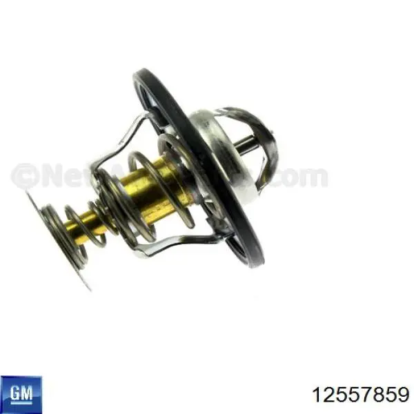 Термостат в корпусе General Motors 12557859 цена, от 17.56 USD