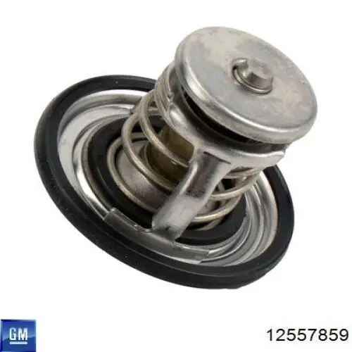 Купить 12557859 General Motors Автомобильный термостат