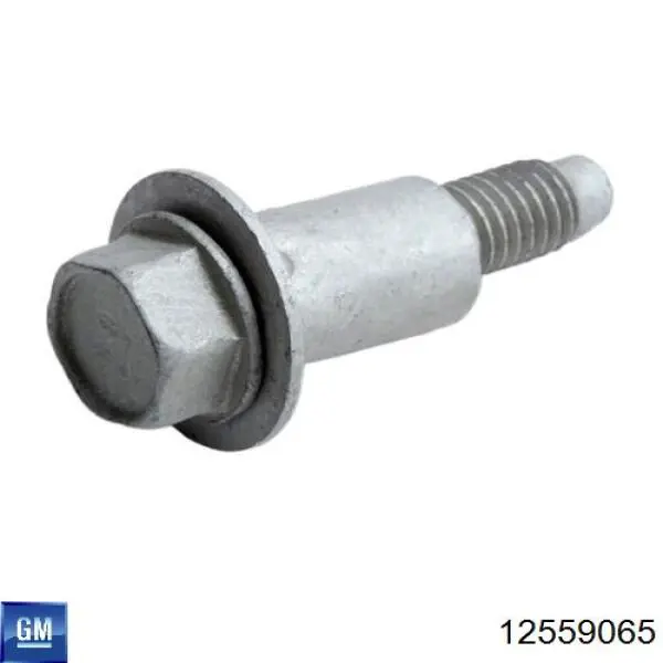  General Motors 12559065 цена, от 11.40 USD