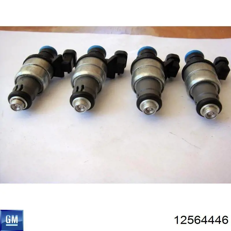 12564446 General Motors Топливные форсунки
