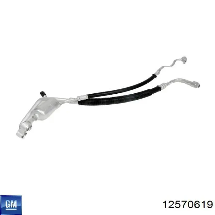 12570619 General Motors 
