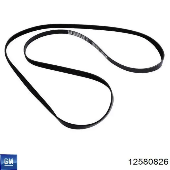 12580826 General Motors Поликлиновый ремень