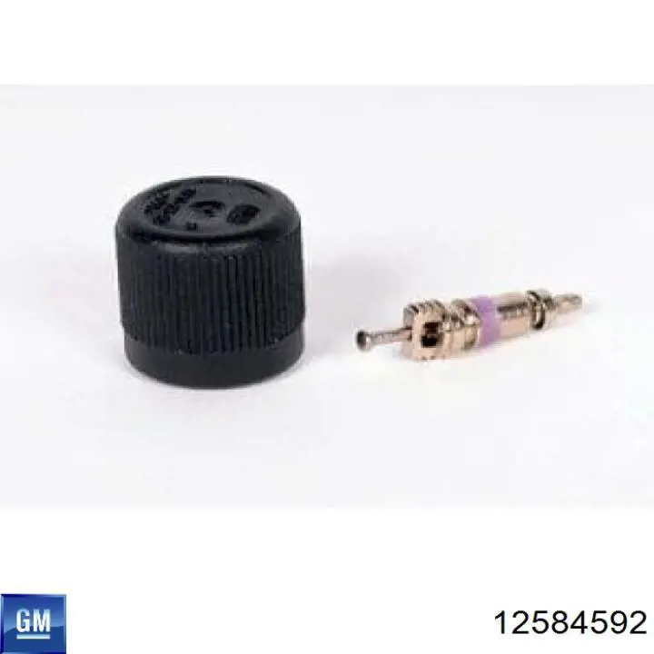 88894338 General Motors 