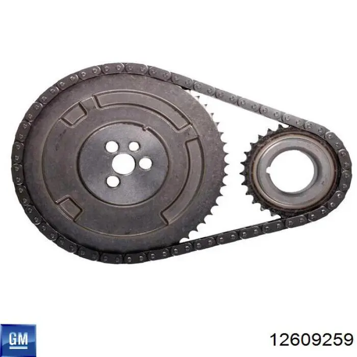 Натяжитель цепи ГРМ 12609259 General Motors