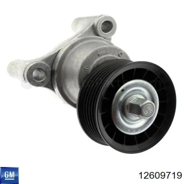 Натяжная планка поликлинового ремня General Motors 12609719