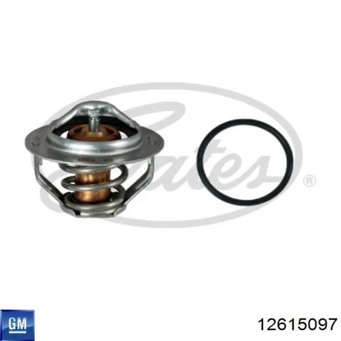 Термостат 12615097 General Motors